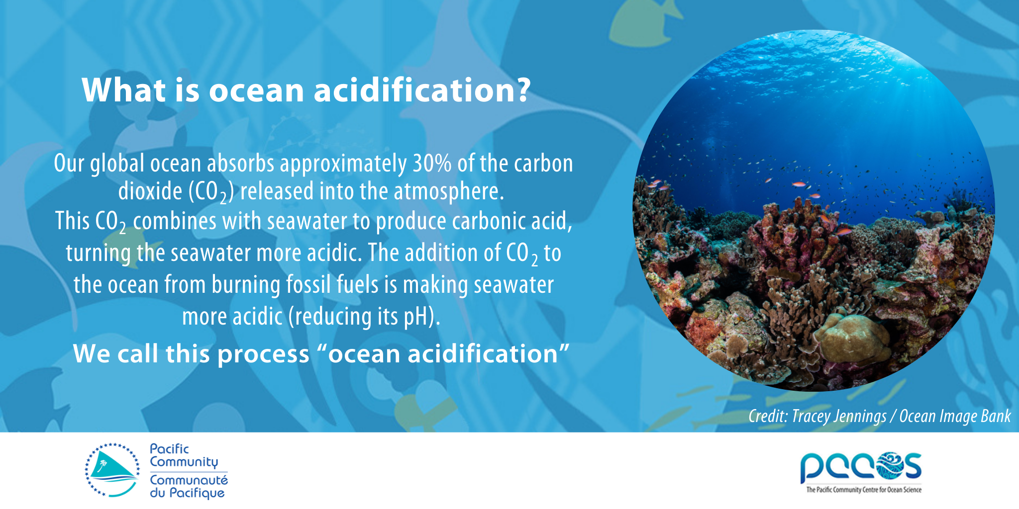 Savez vous ce qu est l acidification des océans ? La Communauté du